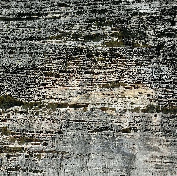 Baş ustanın portresi